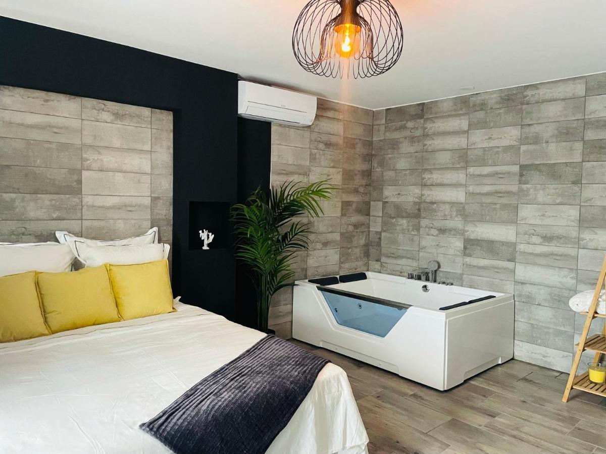 Superbe Appartement Avec Balneo. Saint-Cyprien (Pyrenees-Orientales) Exterior foto